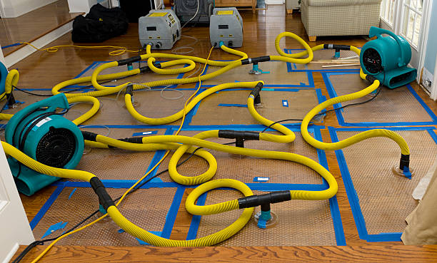 Professional Basement Flood Cleanup technician working in Oxnard, CA